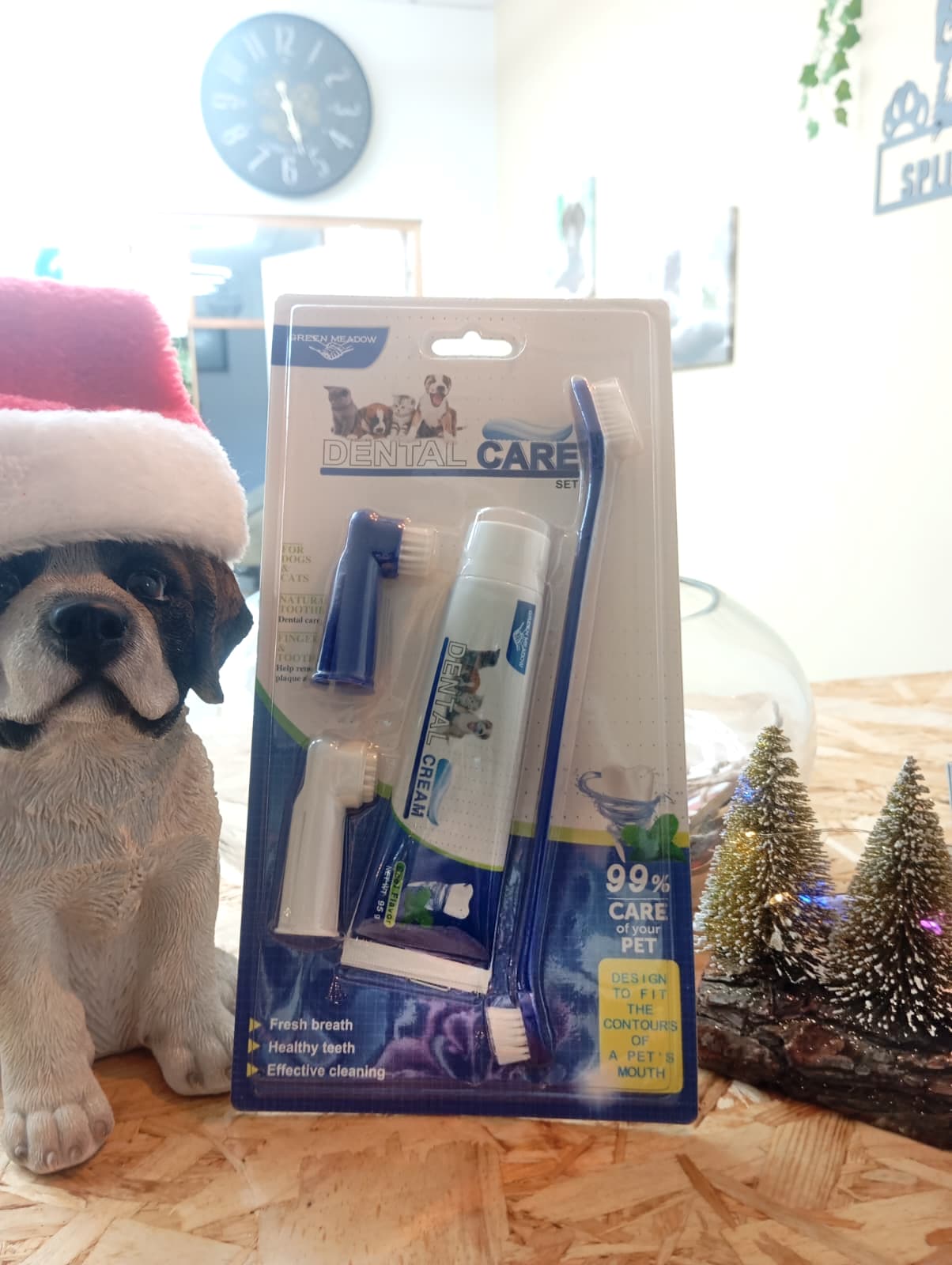 Conjunto para Higiene Dentária