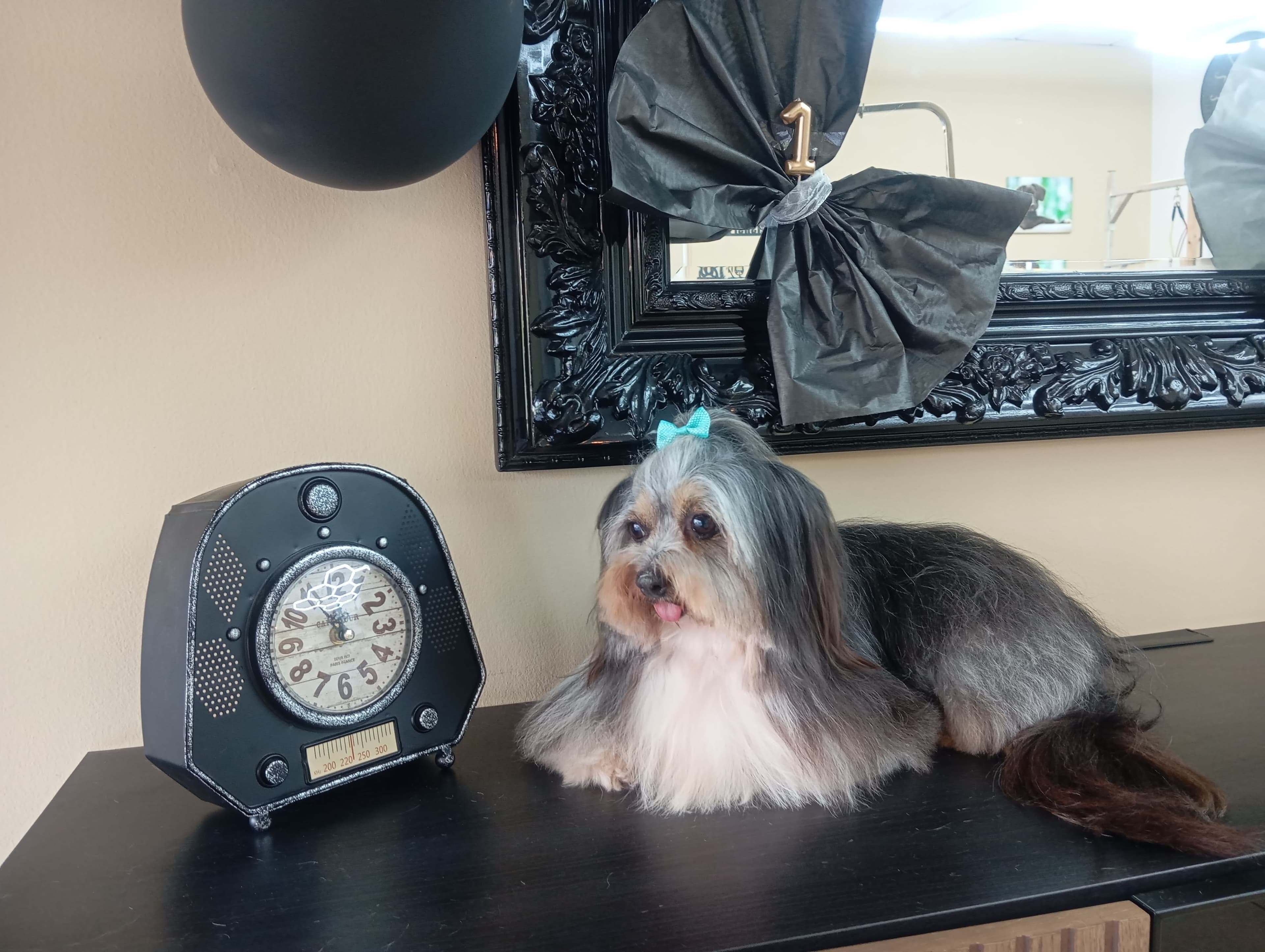 Tratamento de Pelo - Agende já