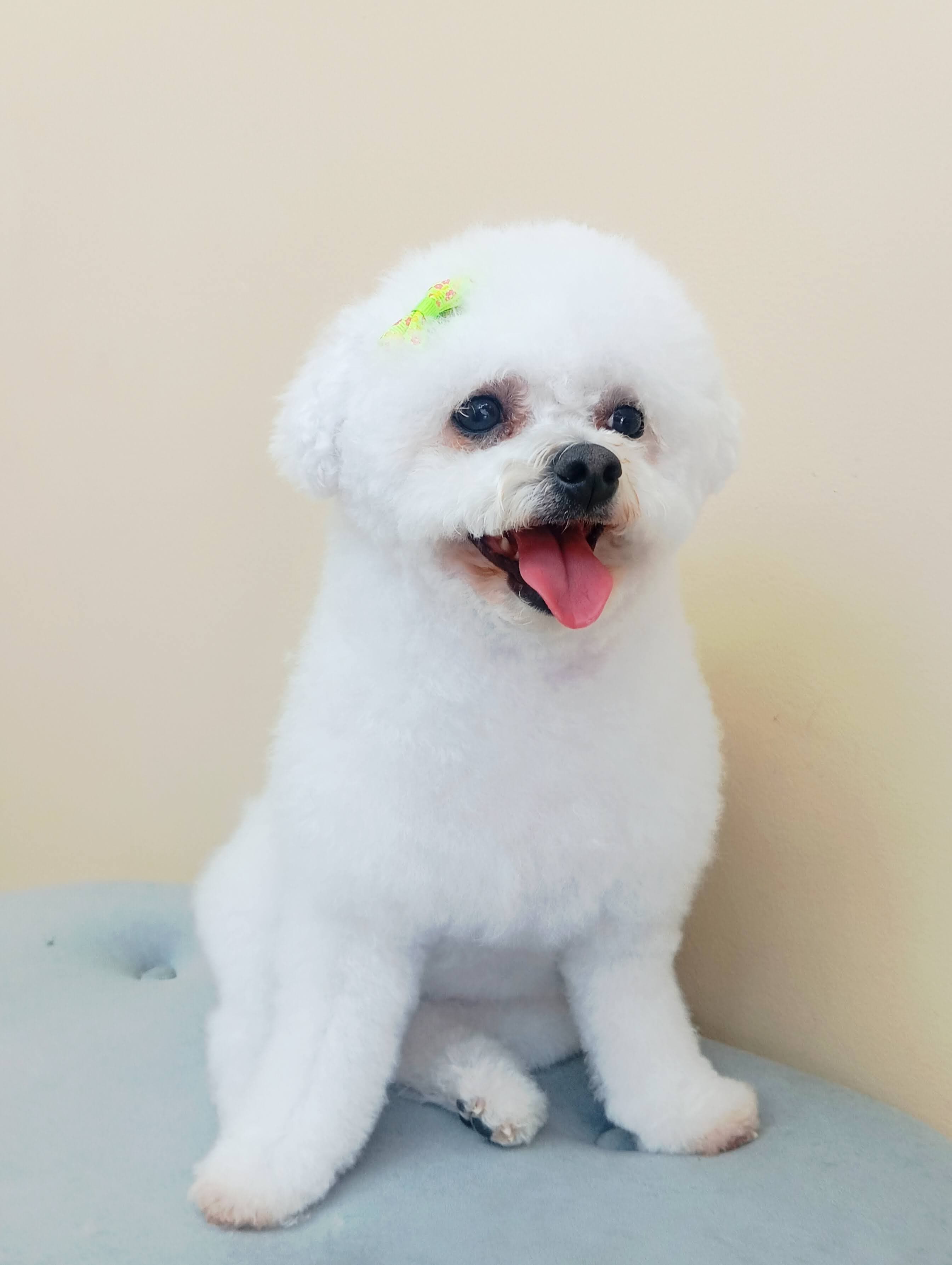 Tratamento de Pelo - Detalhes do serviço